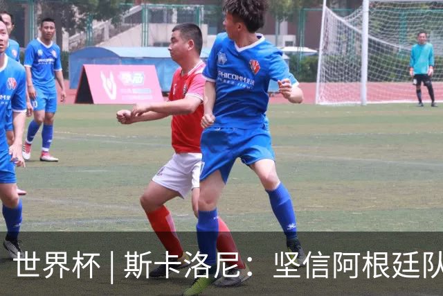 世界杯 | 斯卡洛尼：坚信阿根廷队会逆转